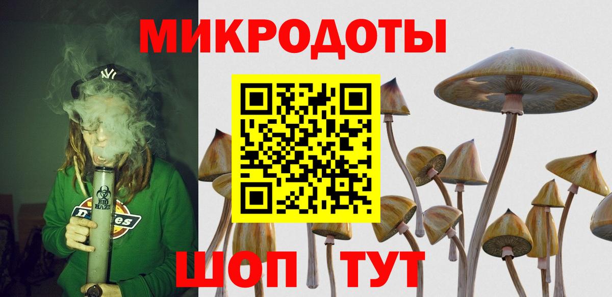 Псилоцибиновые грибы GOLDEN TEACHER Осинники