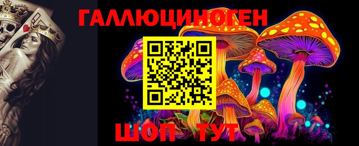 цена наркотик  Галлюциногенные грибы GOLDEN TEACHER  Вход с VPN  Псилоцибиновые грибы Psilocybe  Осинники 